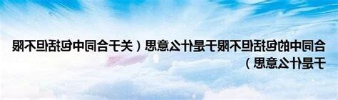 包括但不限於 意思